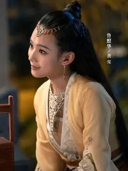 鲁照华 